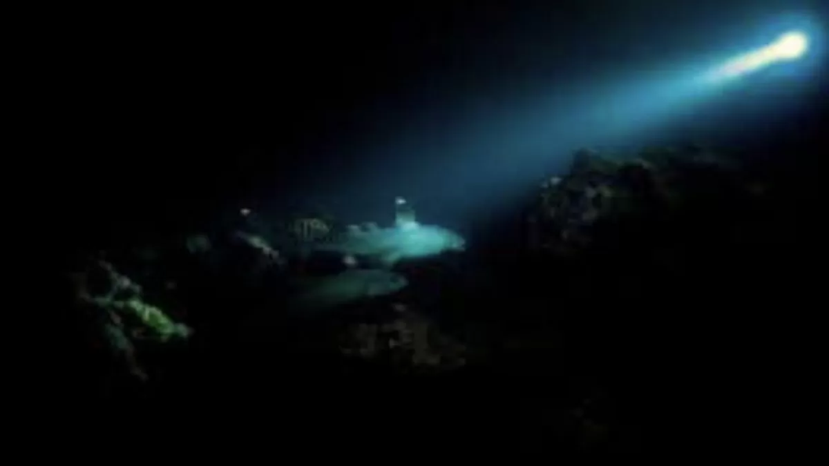 "Dark" Oxygen found deep in the sea! Can it tell about the origin of life?