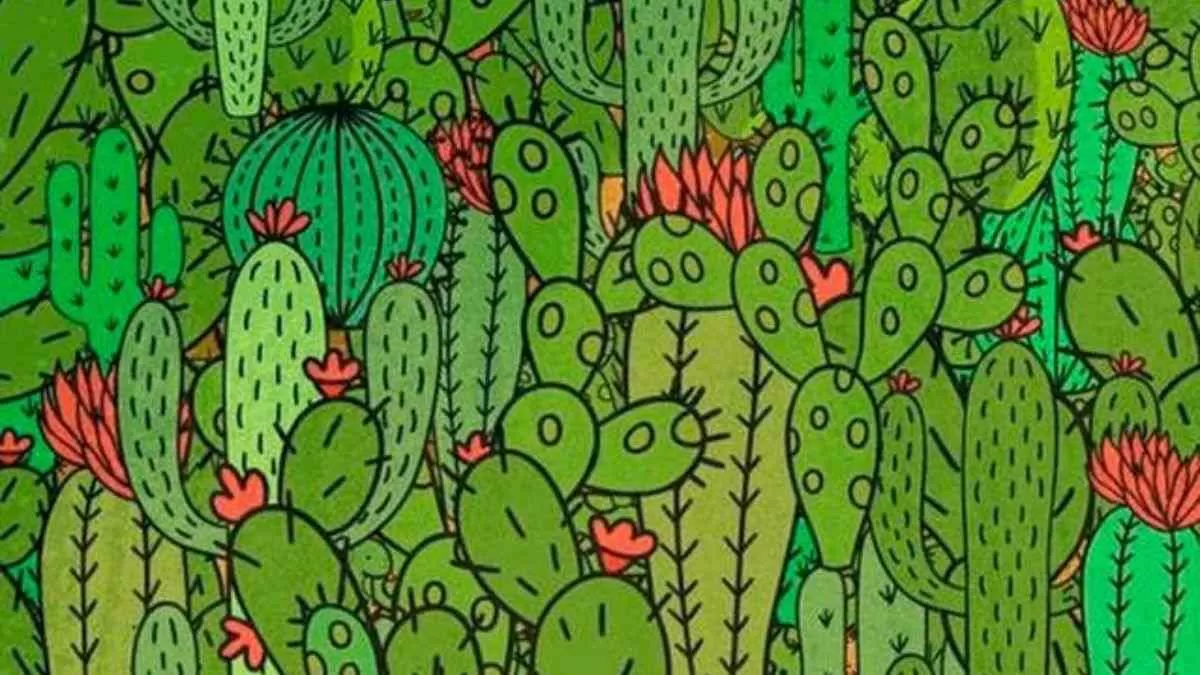 Can You Spot Three Animals?