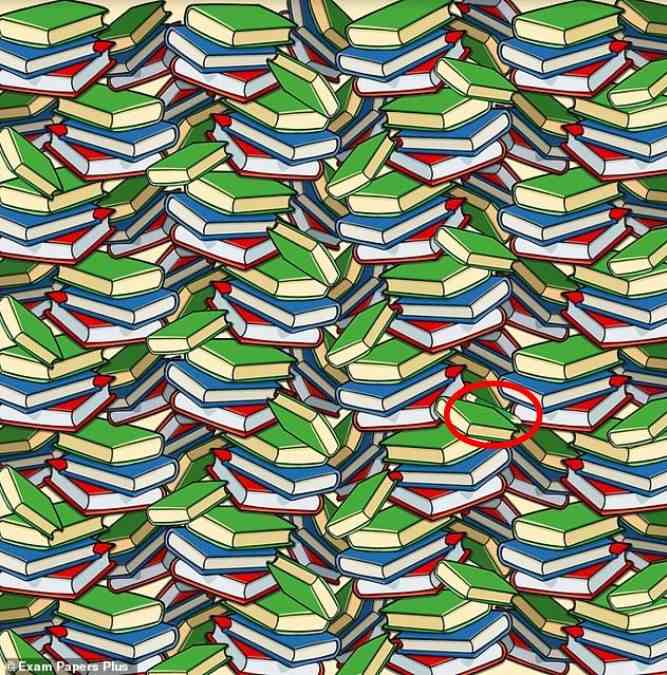 picture puzzles with answers