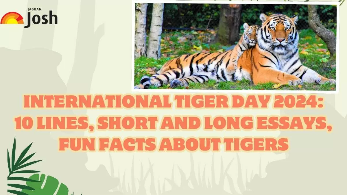 International Tiger Day 2024: 10 Lines, Short and Long Essays, Fun ...