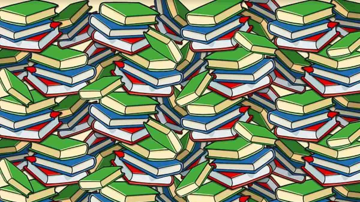 Find The Pencil.