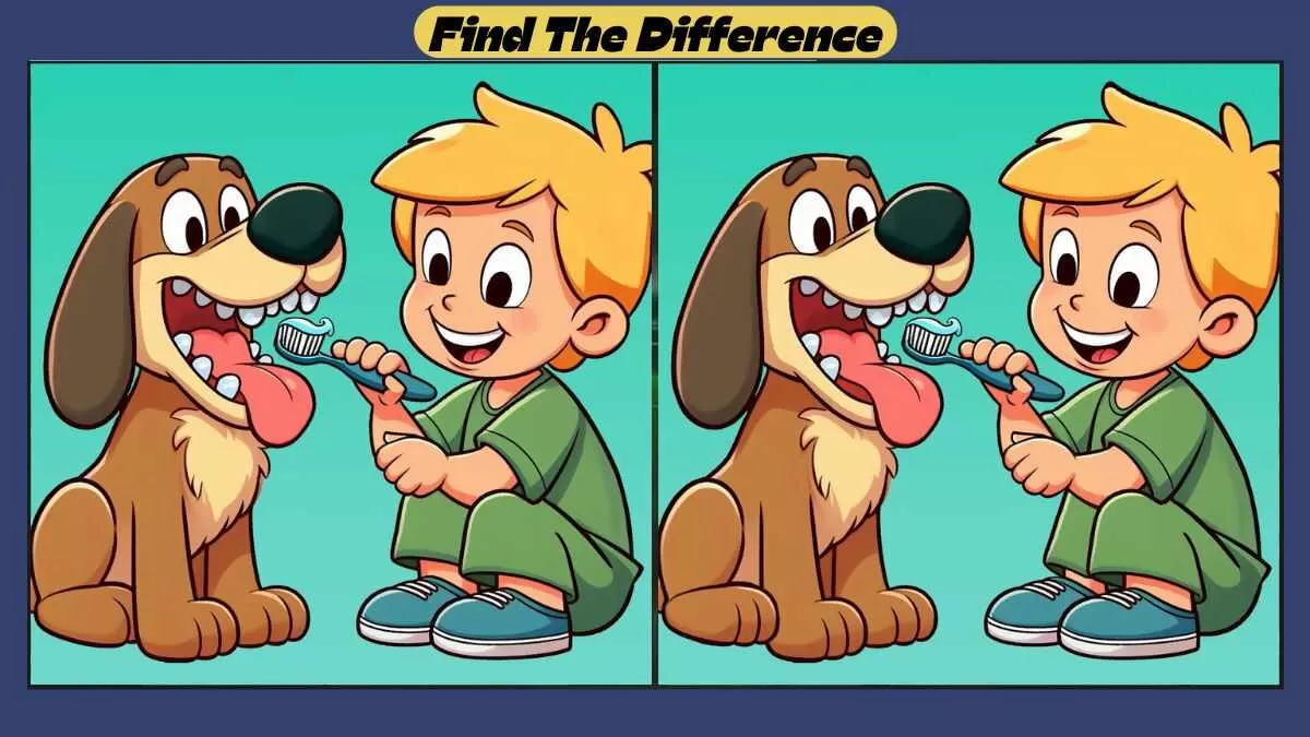 Find 3 Differences in 36 Seconds in This Teeth Cleaning Scene