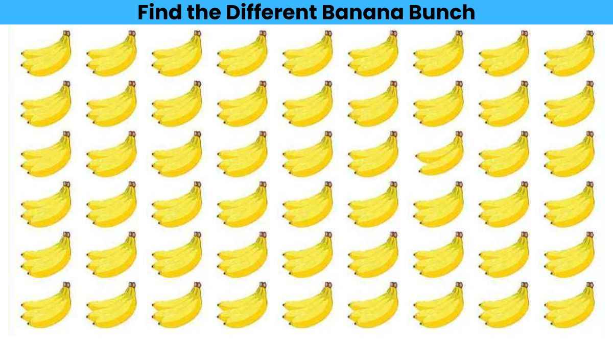 Optical Illusion: Test your visual prowess by finding the different banana bunch in 6 seconds!