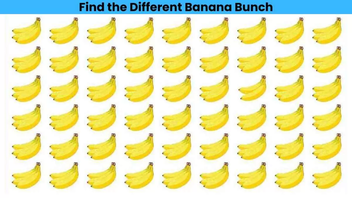 Find the different banana bunch