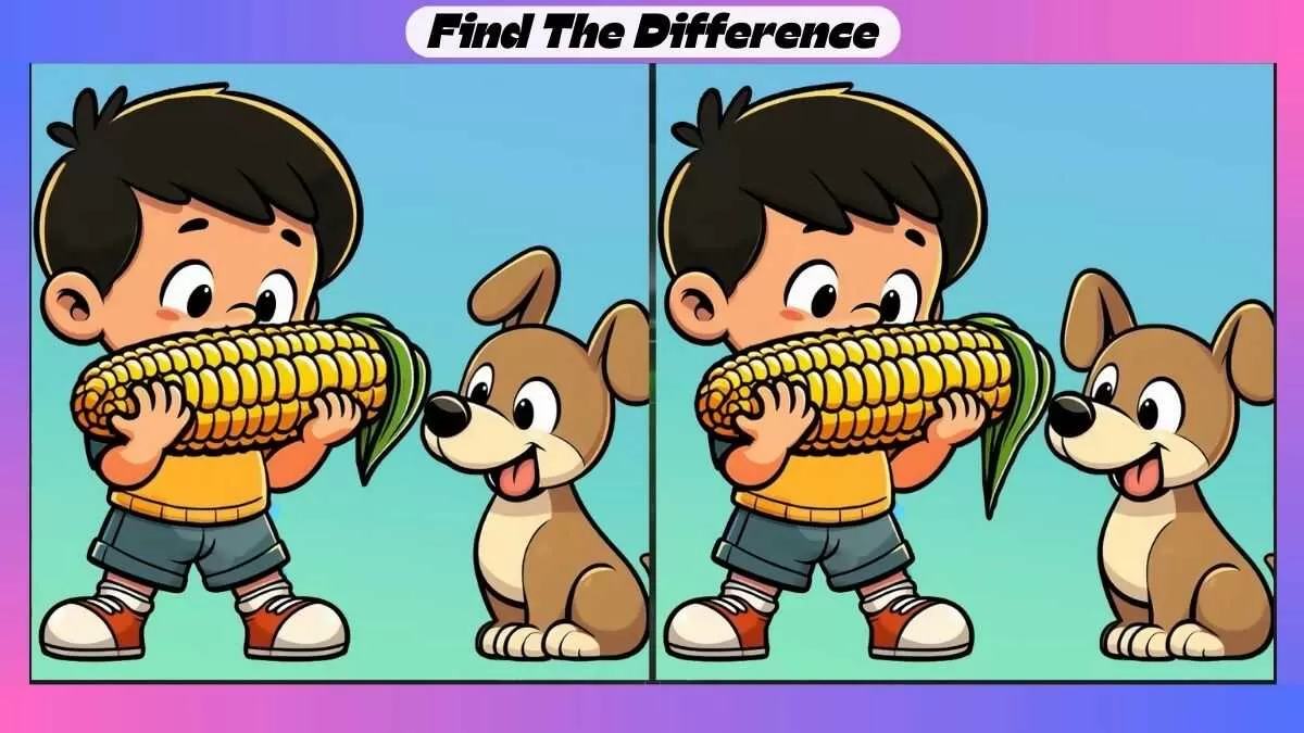 Find 3 Differences in 55 Seconds in This Maize Eating Picture