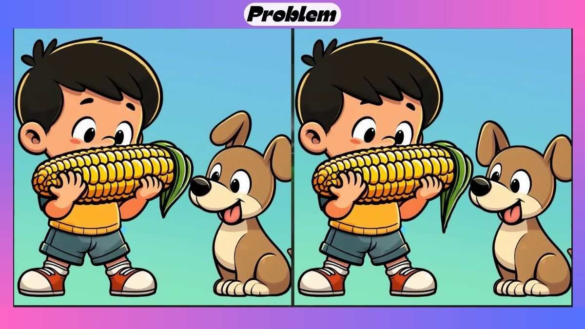 Find 3 Differences in 55 Seconds in This Maize Eating Picture