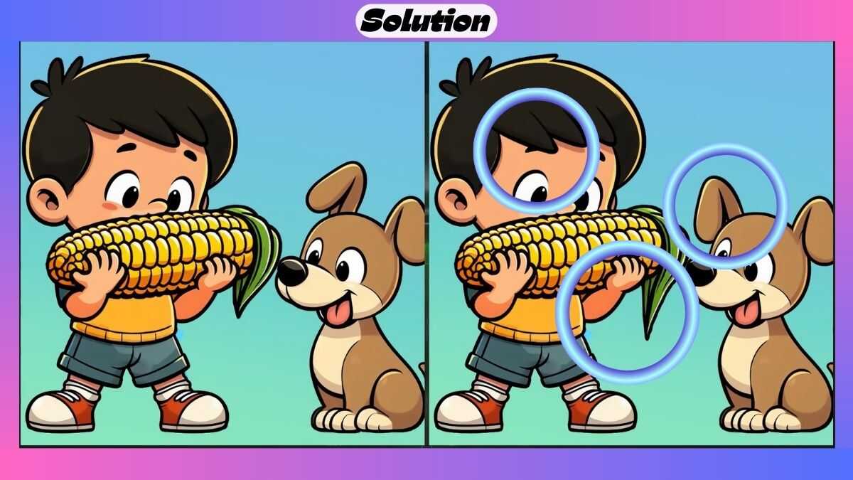 Find 3 Differences in 55 Seconds in This Maize Eating Picture