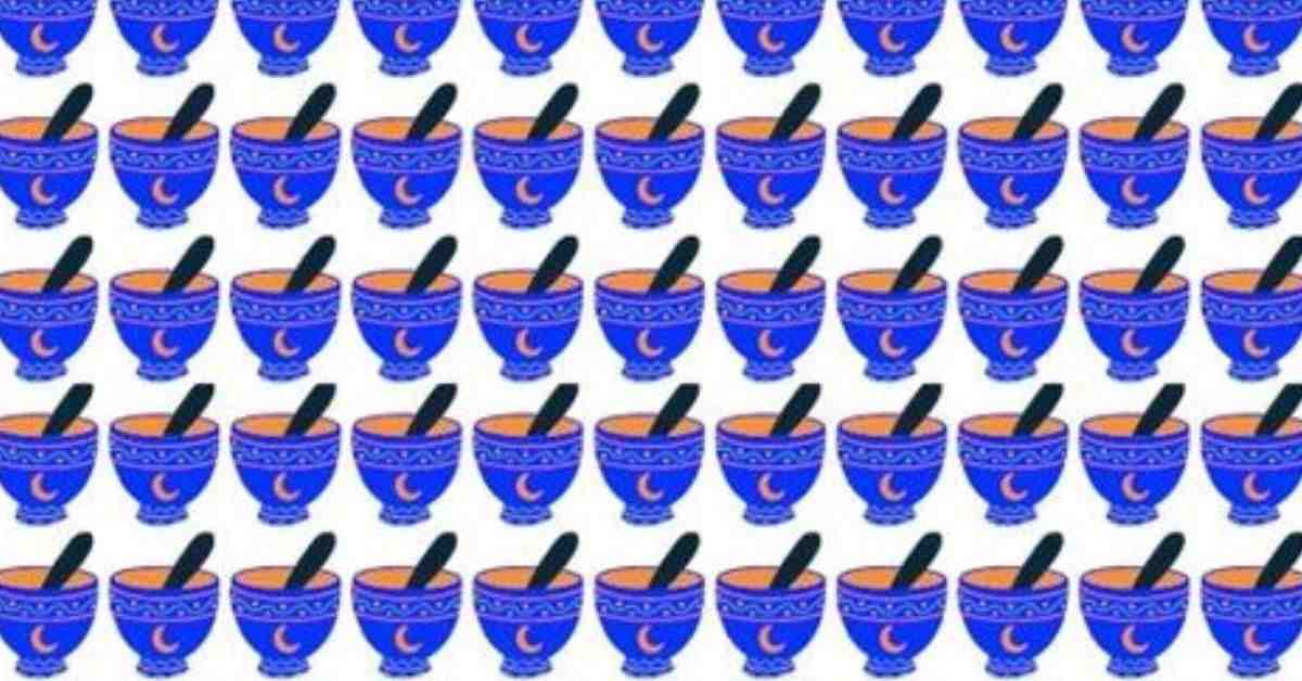Brain Teaser: Can You Spot the Different Bowl in 9 Seconds? Only High IQs Can Spot it! 
