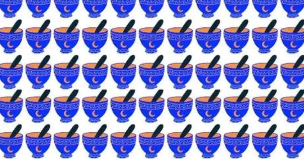 Spot the Different Bowl 