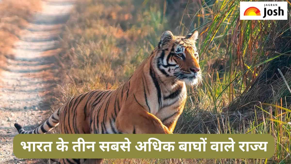 भारत के इन तीन राज्यों में हैं सबसे अधिक बाघ, जानें 