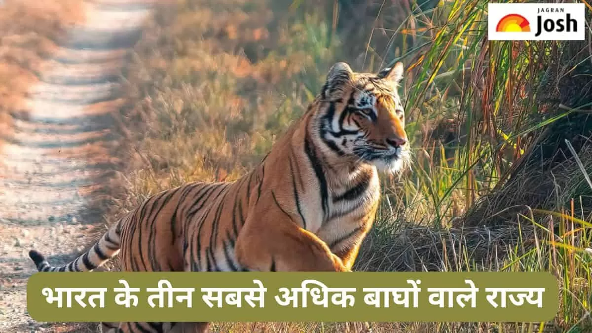 सबसे अधिक बाघ वाले राज्य 