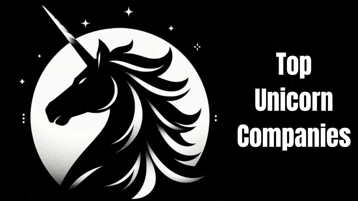 Top 10 Unicorn Companies in the World 2024, Check Valuations, Investors and More