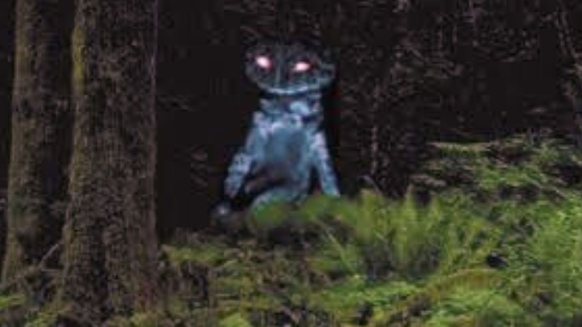 Some Strange Yet Interesting American Myths and Urban Legends