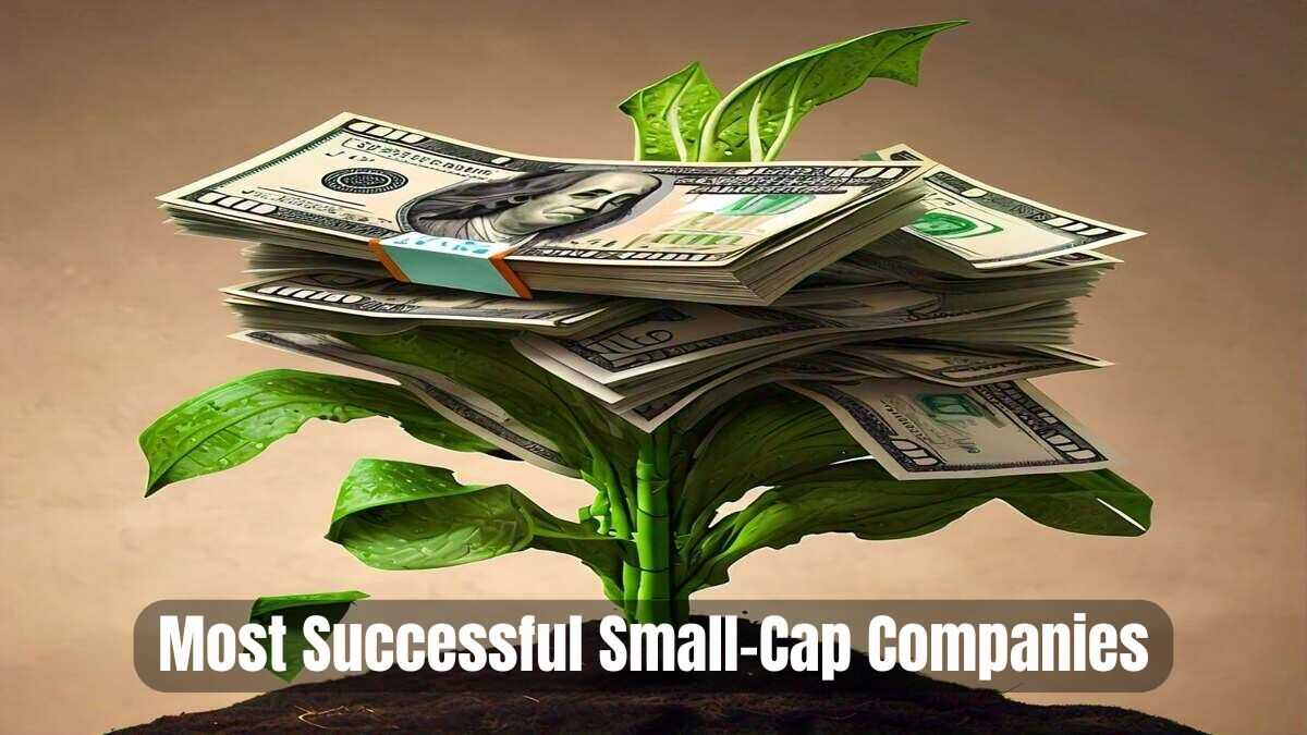 List Of America s Top 10 Most Successful Small Cap Companies 2024