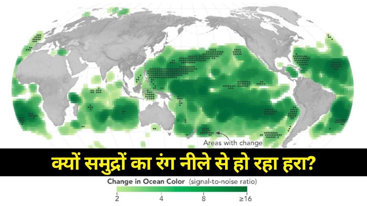 Latest NASA Report: क्यों समुद्रों का रंग नीले से हो रहा हरा? नासा ने बताया कारण