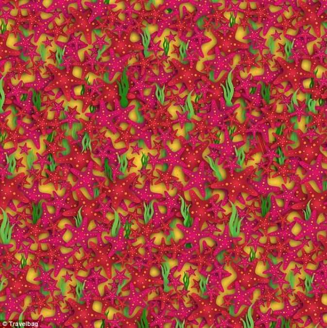 optical illusions find hidden objects