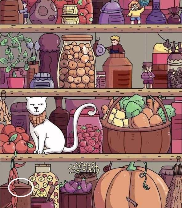 picture puzzles iq test find hidden objects