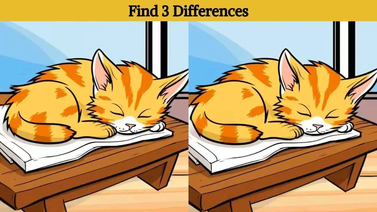 Find 3 differences in 12 seconds