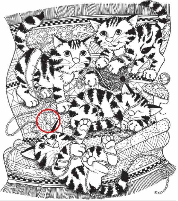 optical illusions find hidden objects