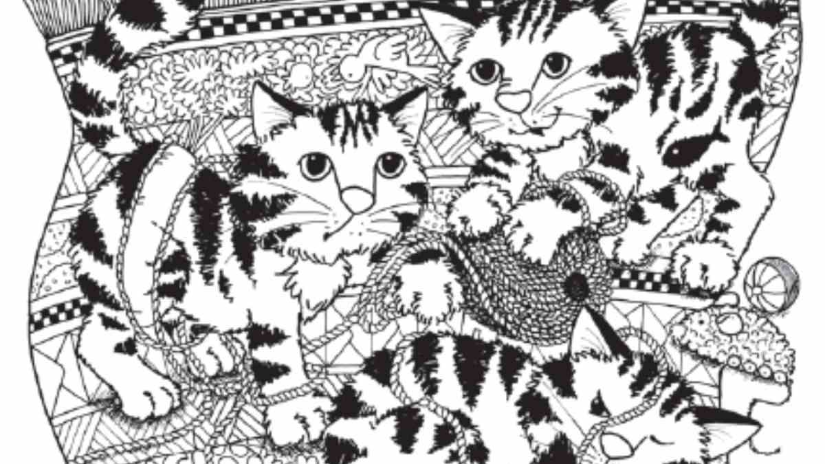 Optical Illusion IQ Test: Can You Spot The Turtle Hidden Among These Kittens In 12 Seconds?