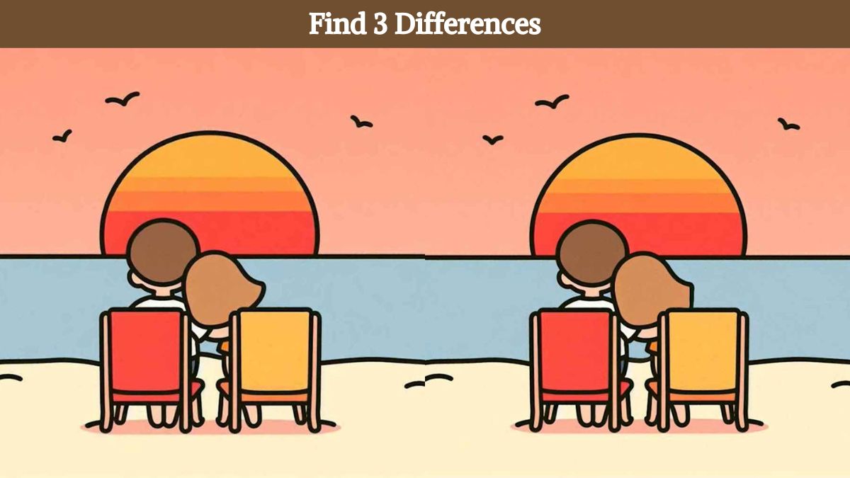 Find 3 differences between the couple watching sunset pictures in 17 seconds!