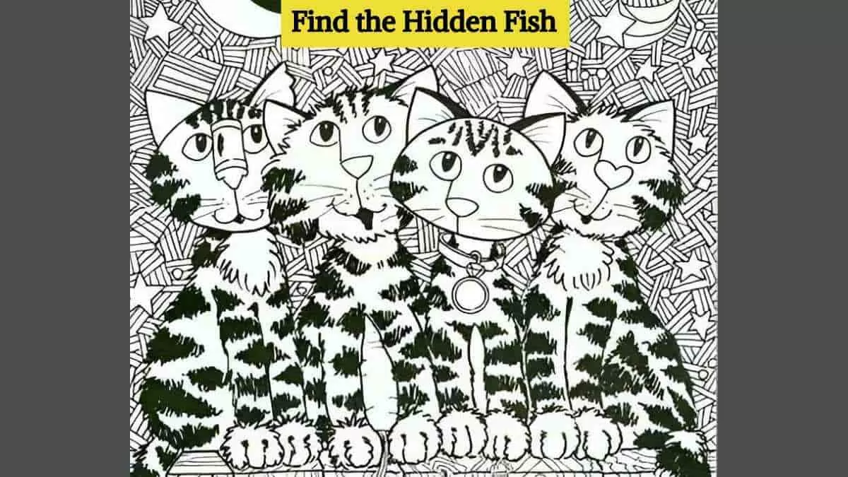 Find the hidden fish