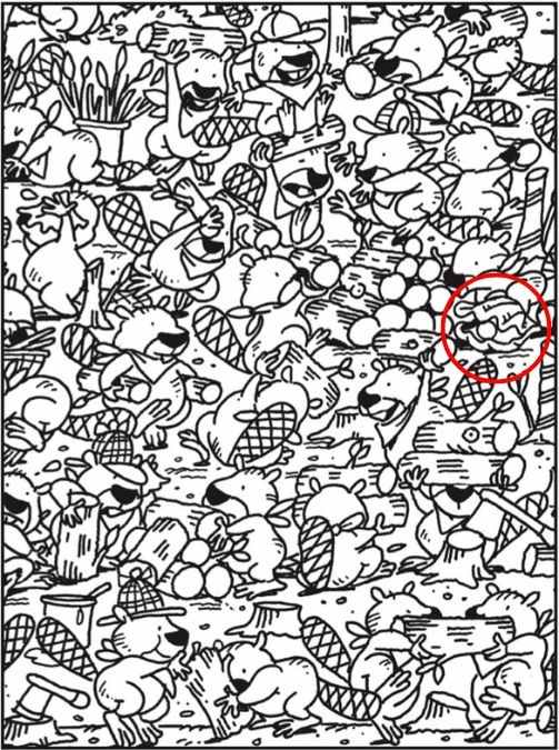 optical illusions pictures with answers