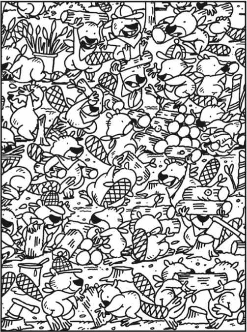 optical illusion pictures