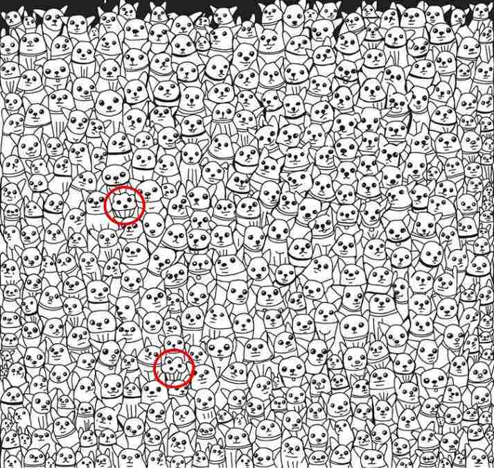 picture puzzles with answers