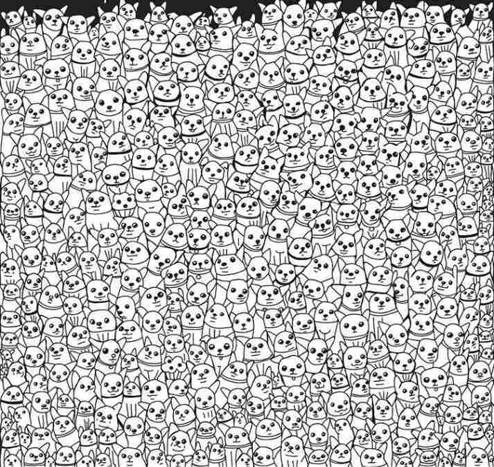 hidden objects picture puzzles iq test