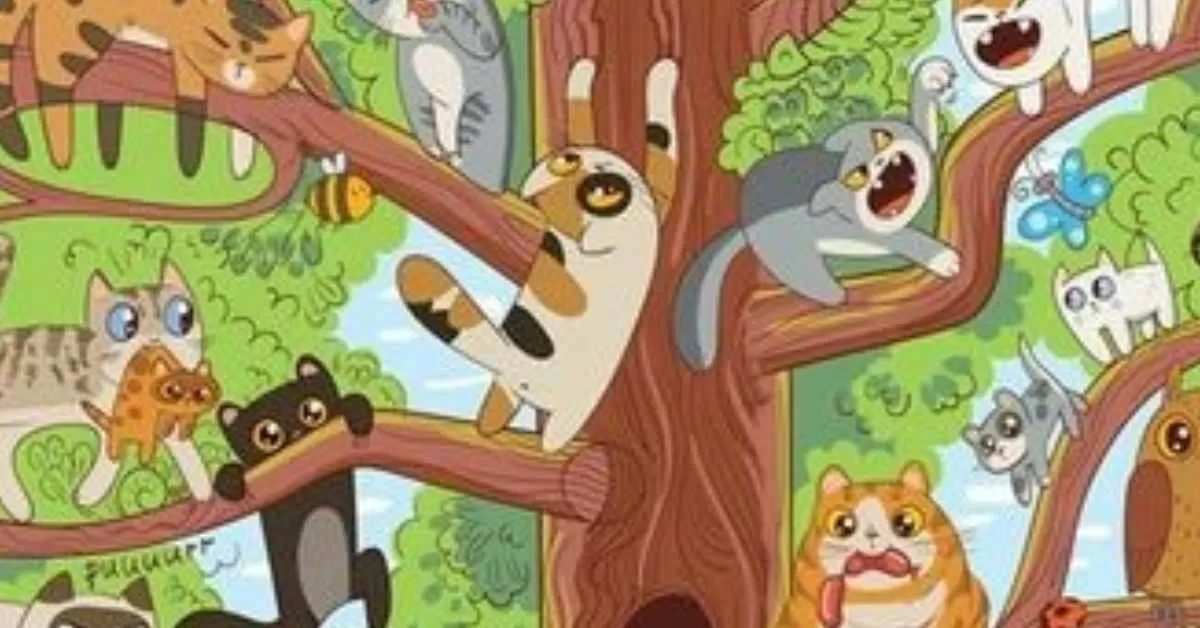 Find The Hidden Bone 
