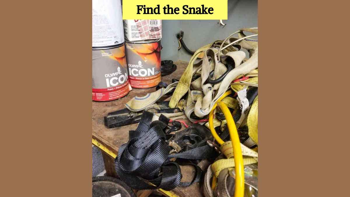Optical Illusion IQ Test: Only the sharpest minds can find the snake in 7 seconds!