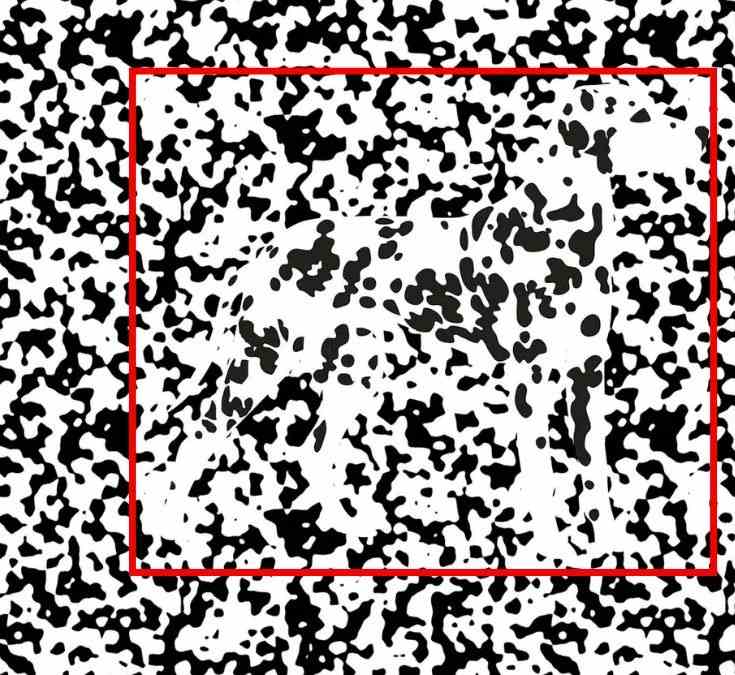 hidden optical illusions with answers