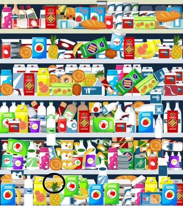 hidden picture puzzles with answers