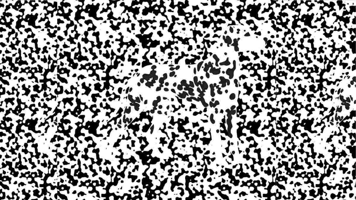 Optical Illusion IQ Test: Only 1% Visually Sharp Can Spot The Dog In 12 Seconds!