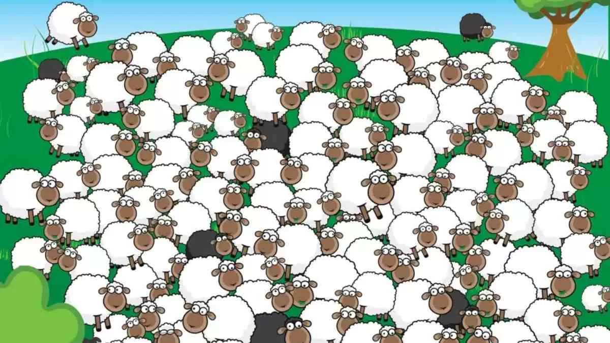Picture Puzzle IQ Test: Spot The Sleeping Sheep.