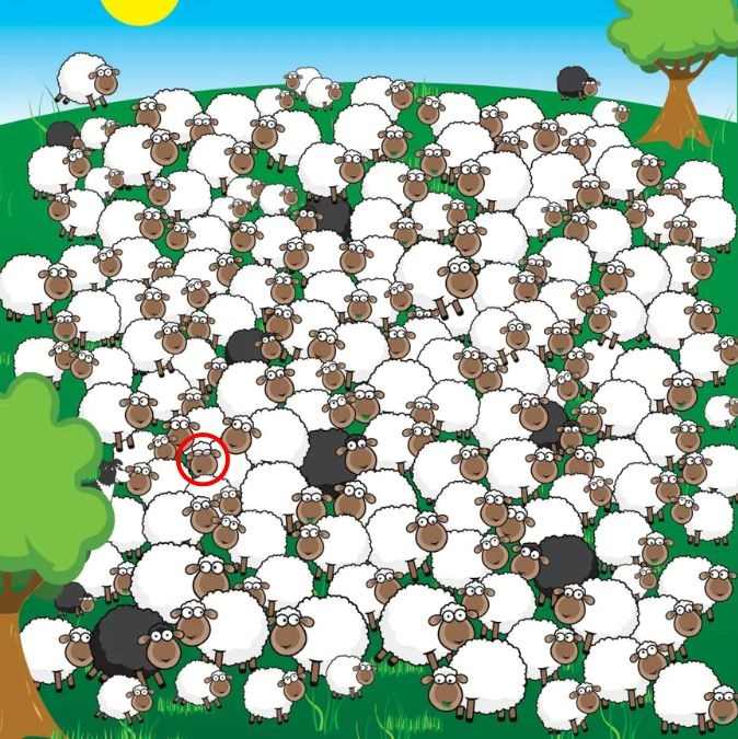 find the sleeping sheep puzzle