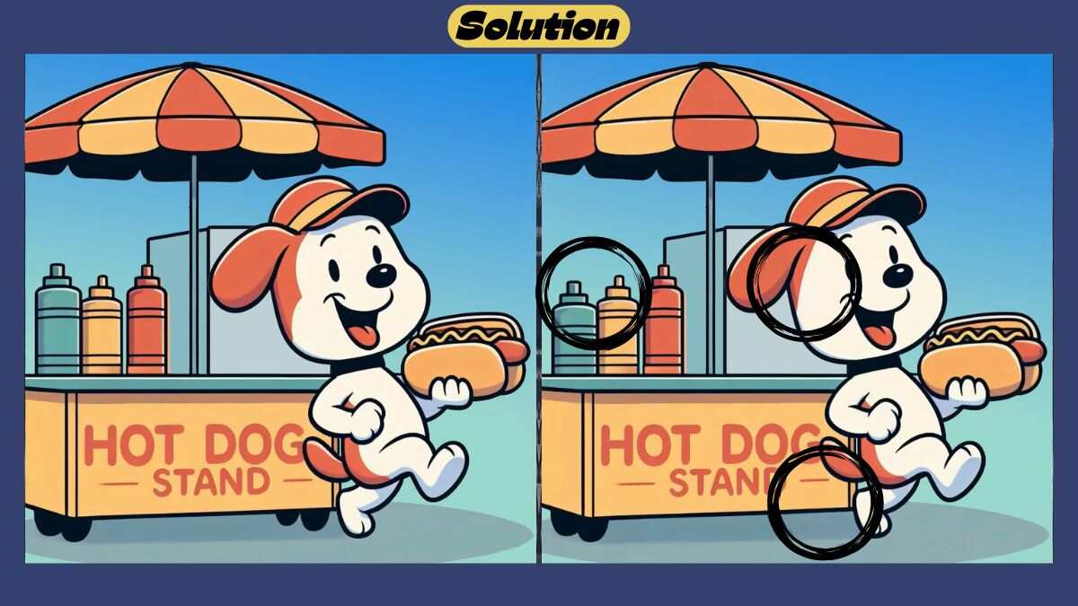 Find 3 Differences in 39 Seconds in This Dog With Hot Dog Scene