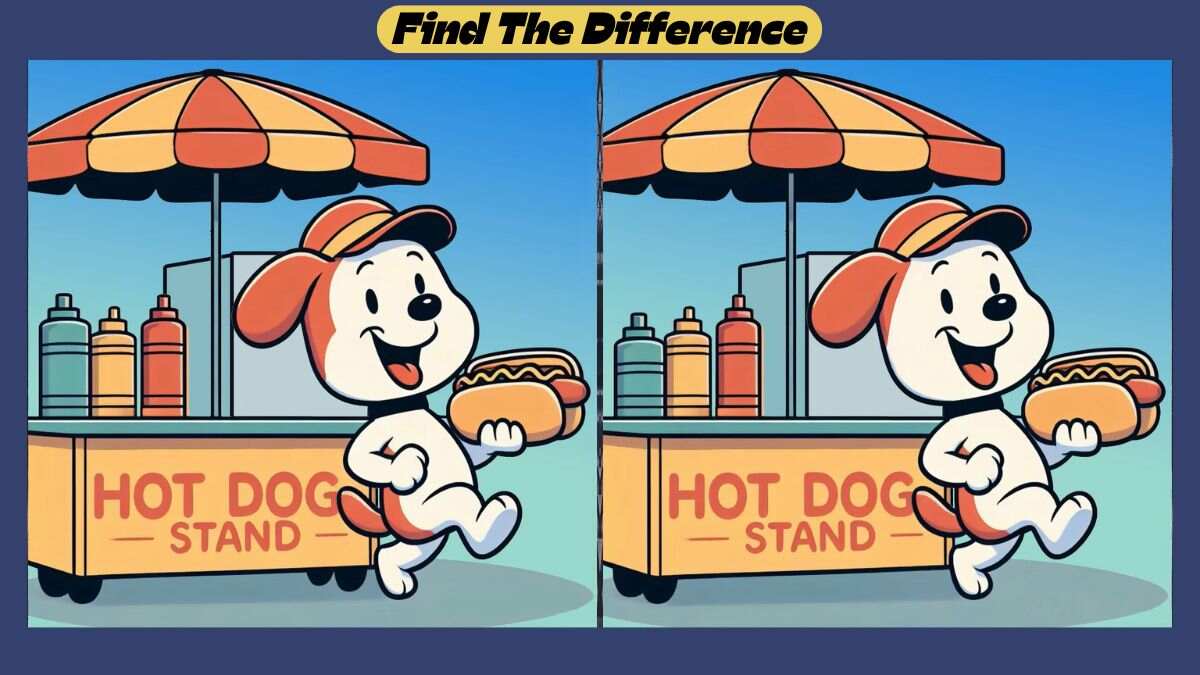 Spot the 3 Differences Between Dog With Hot Dog Pictures in 39 Seconds