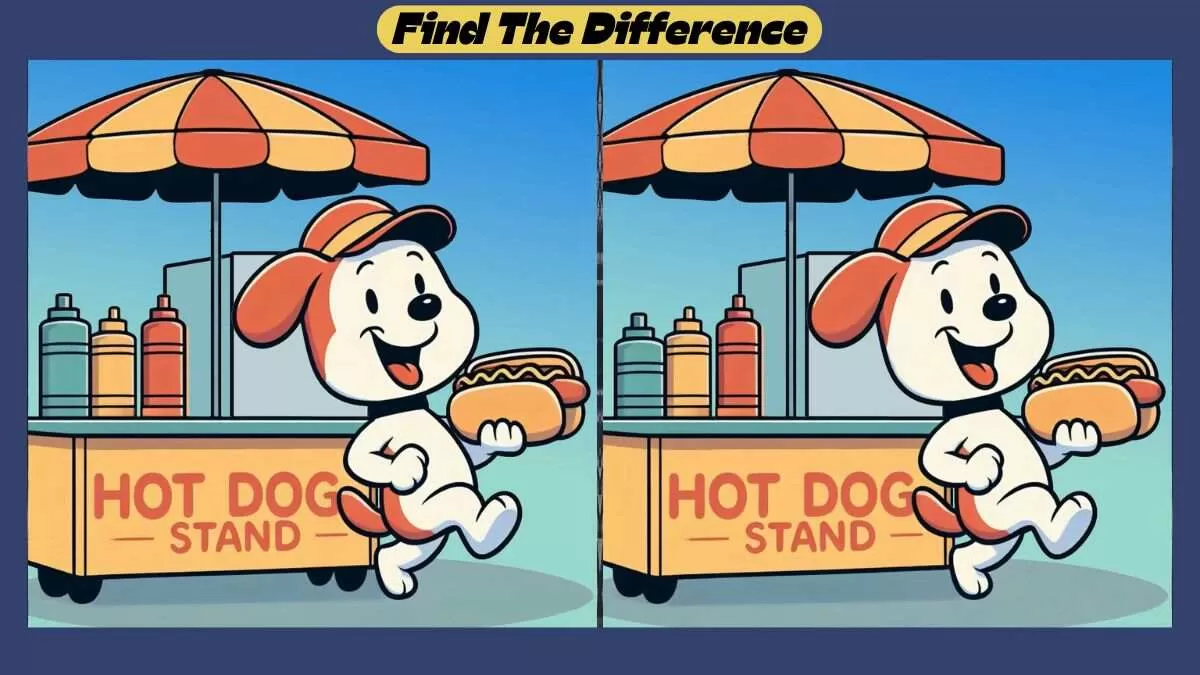 Find 3 Differences in 39 Seconds in This Dog With Hot Dog Scene