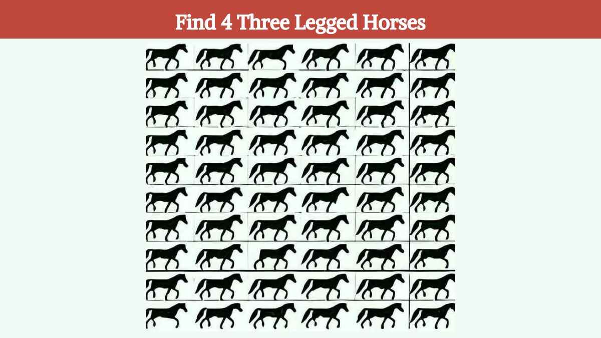Brain Teaser IQ Test: Can you find 4 three legged horses in 9 seconds?