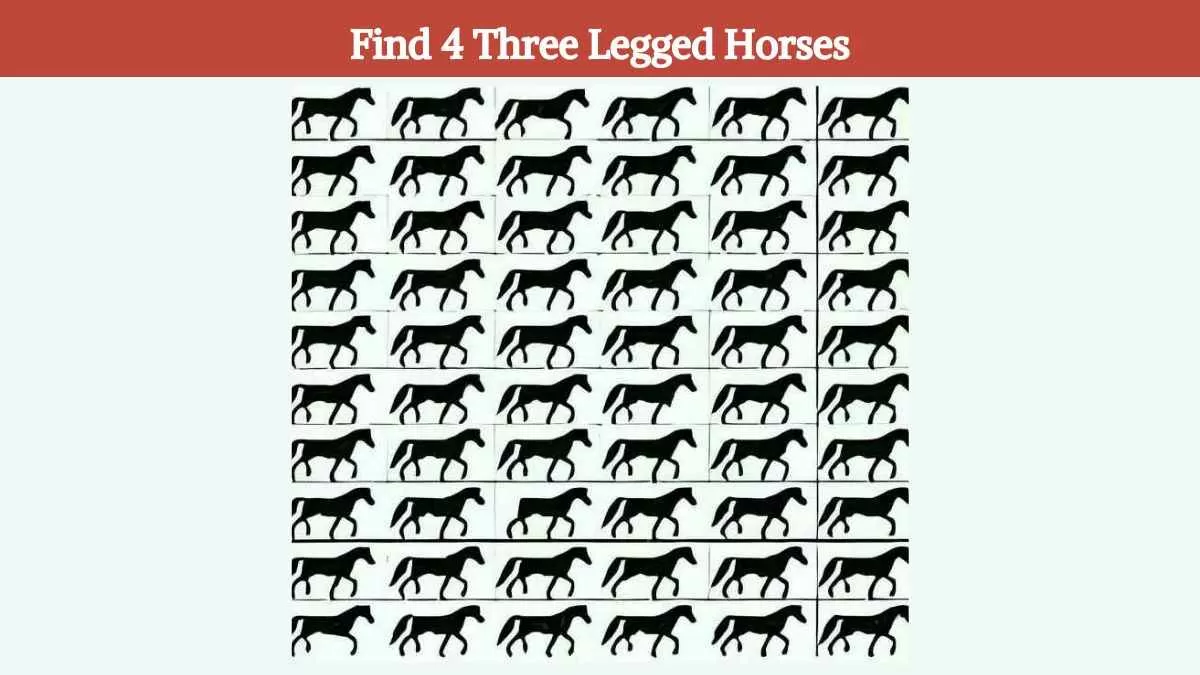 Find 4 three legged horses