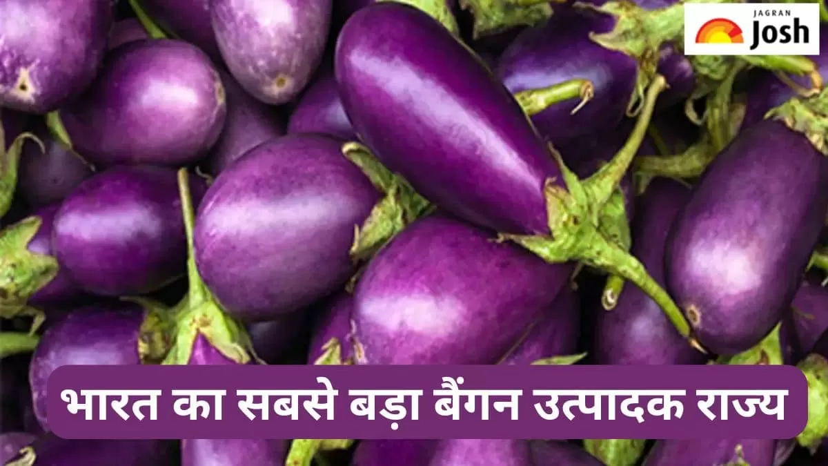 सबसे बड़ा बैंगन उत्पादक राज्य