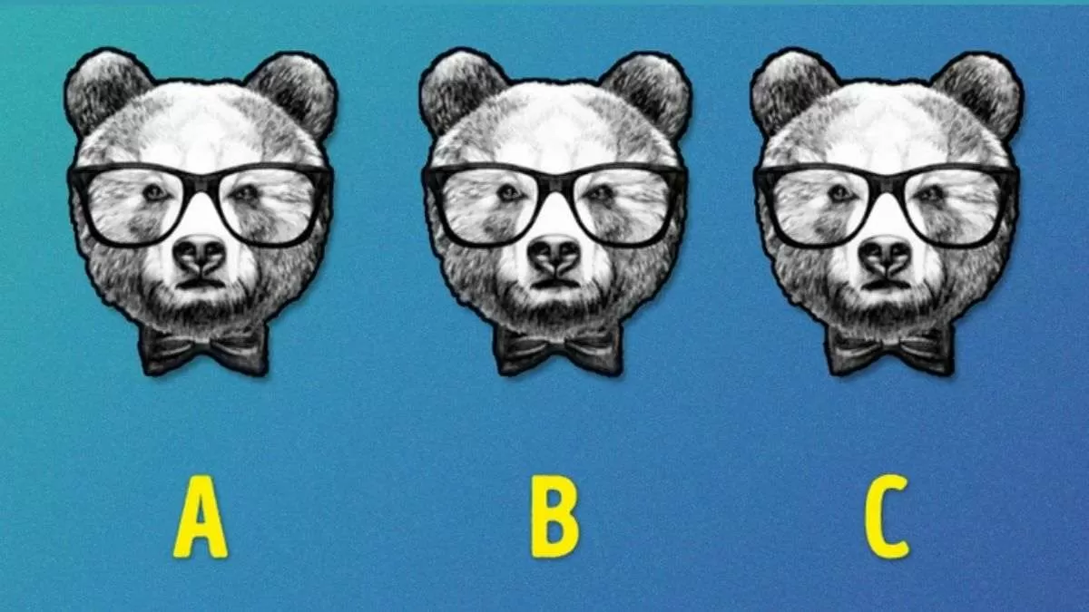 Spot The Different Panda.