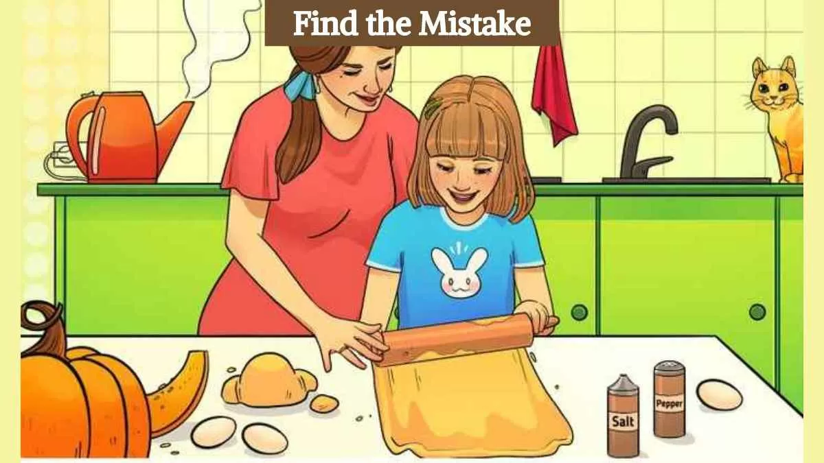 Find the mistake in the kitchen picture