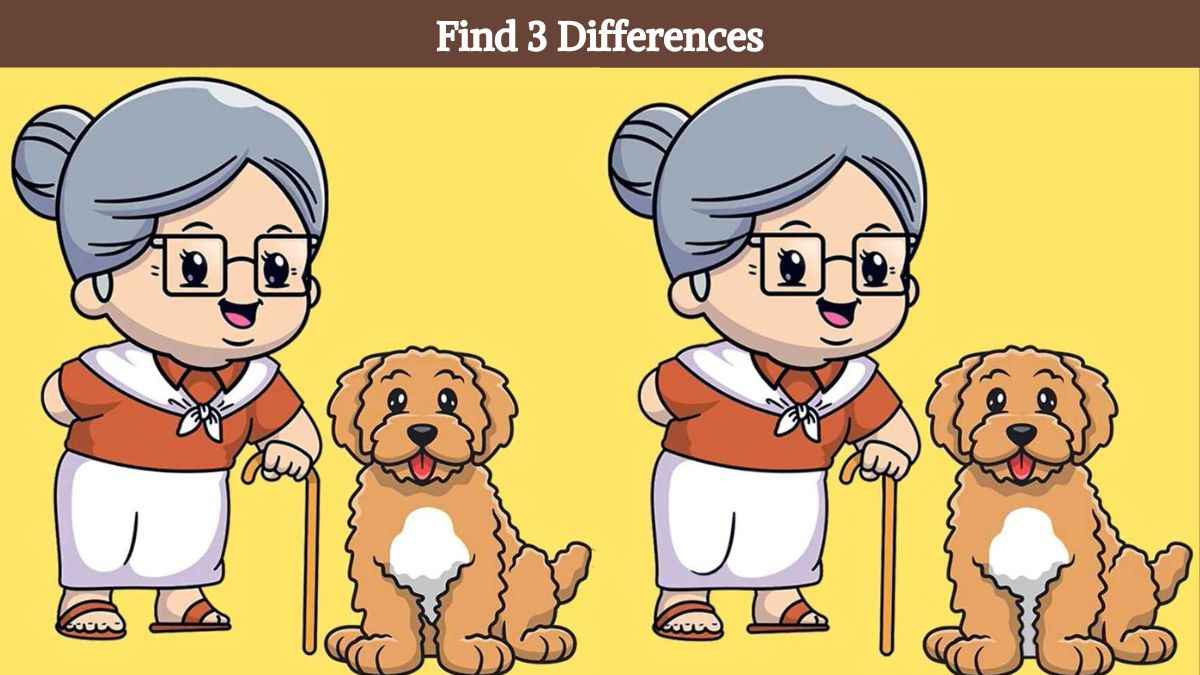 Find 3 differences between the grandma and her dog pictures in 10 seconds!