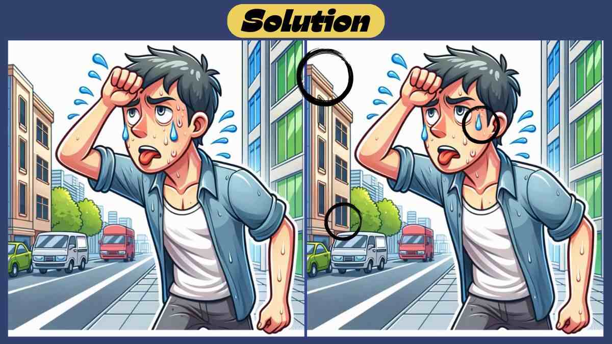 Find 3 Differences in 39 Seconds in This Summer Heat Scene