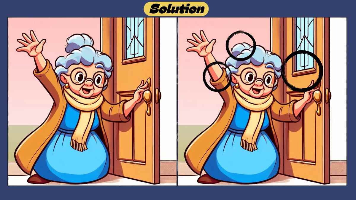 Find 3 Differences in 40 Seconds in This Grandmother Scene