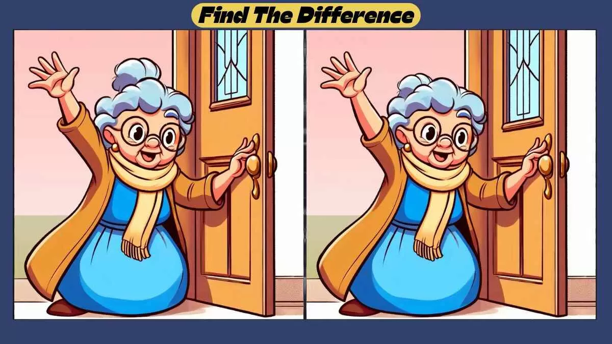 Find 3 Differences in 40 Seconds in This Grandmother Scene