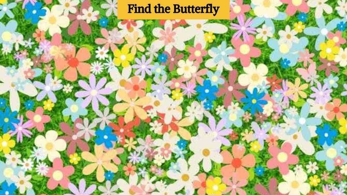 Only hawk eyes can find the hidden butterfly in 7 seconds!